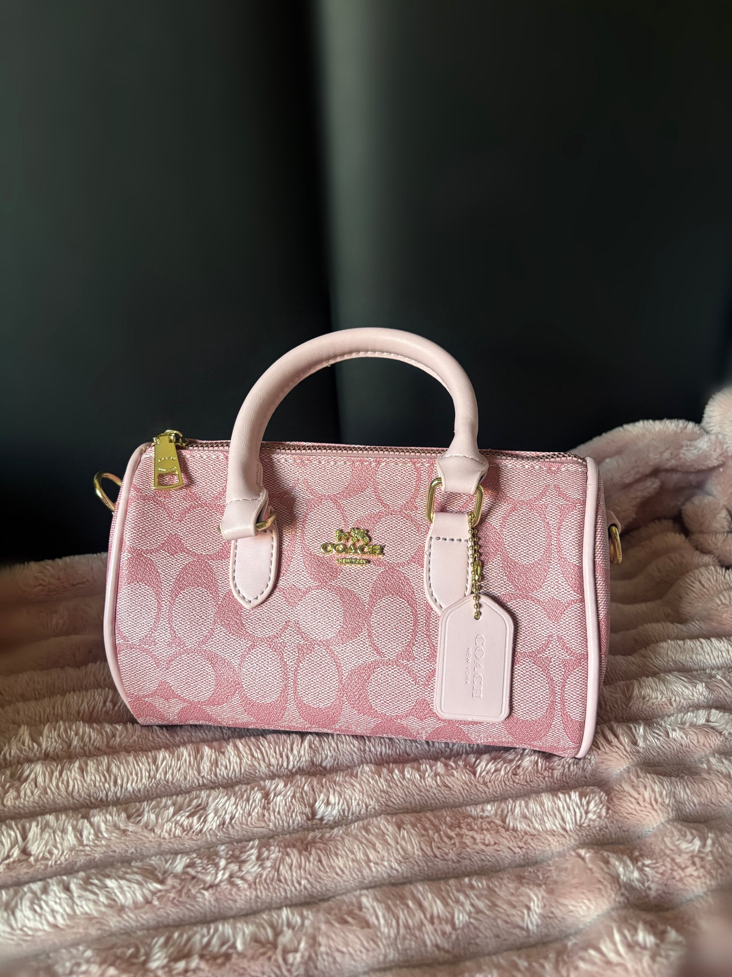 Co-aaach Handbag